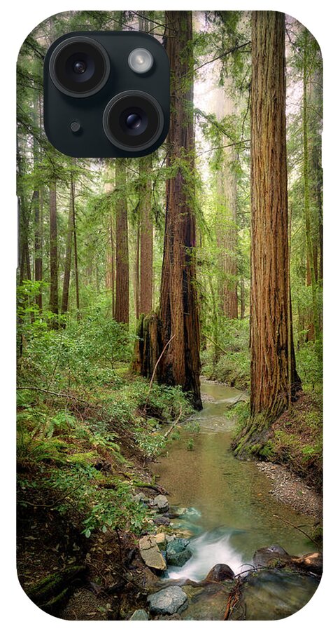 Columnas - Phone Case