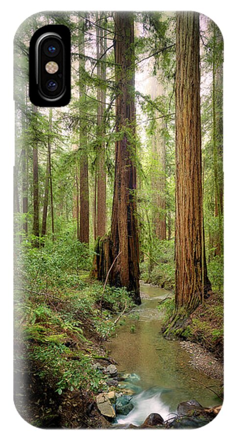 Columnas - Phone Case