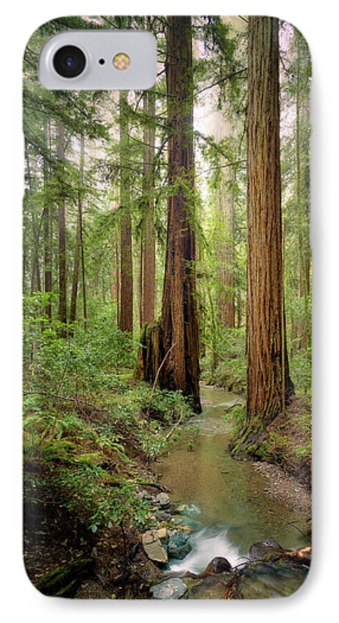 Columnas - Phone Case