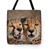 Fratres - Tote Bag