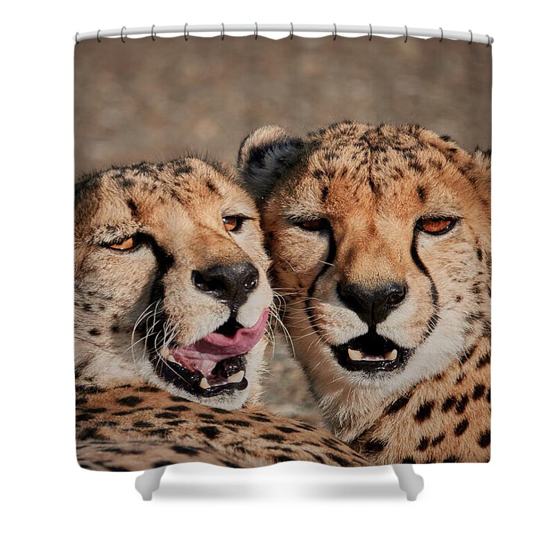 Fratres - Shower Curtain