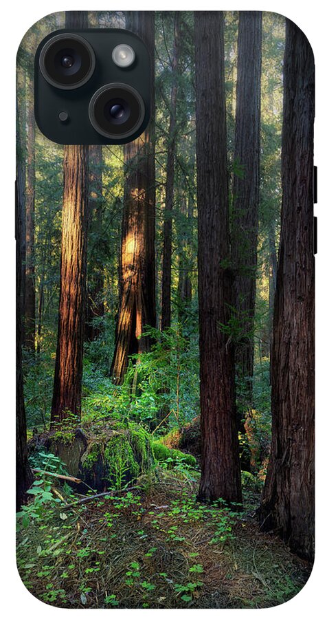 Truncus - Phone Case