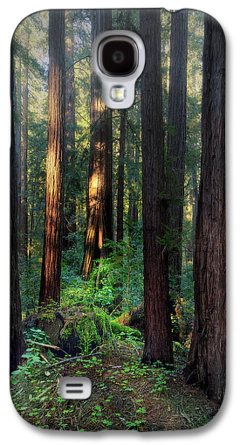 Truncus - Phone Case