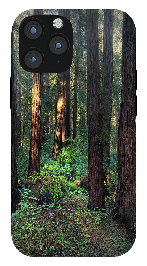 Truncus - Phone Case