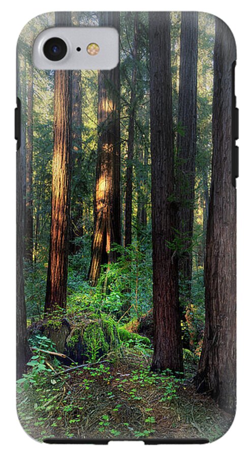 Truncus - Phone Case