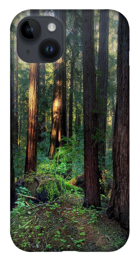 Truncus - Phone Case