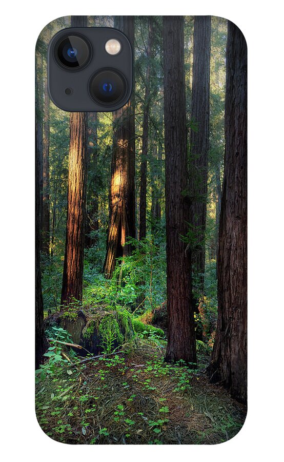 Truncus - Phone Case