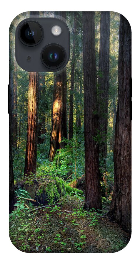 Truncus - Phone Case