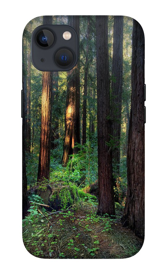 Truncus - Phone Case