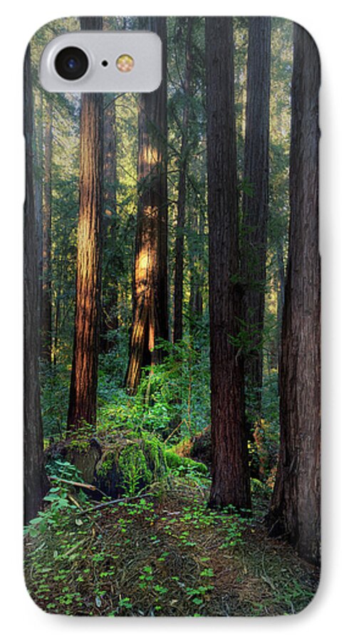 Truncus - Phone Case