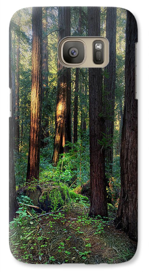 Truncus - Phone Case