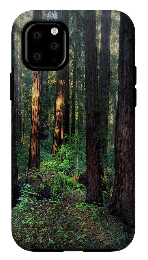 Truncus - Phone Case