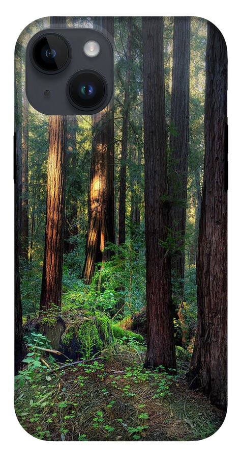 Truncus - Phone Case