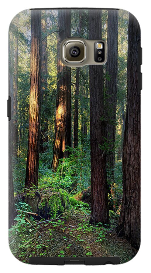 Truncus - Phone Case