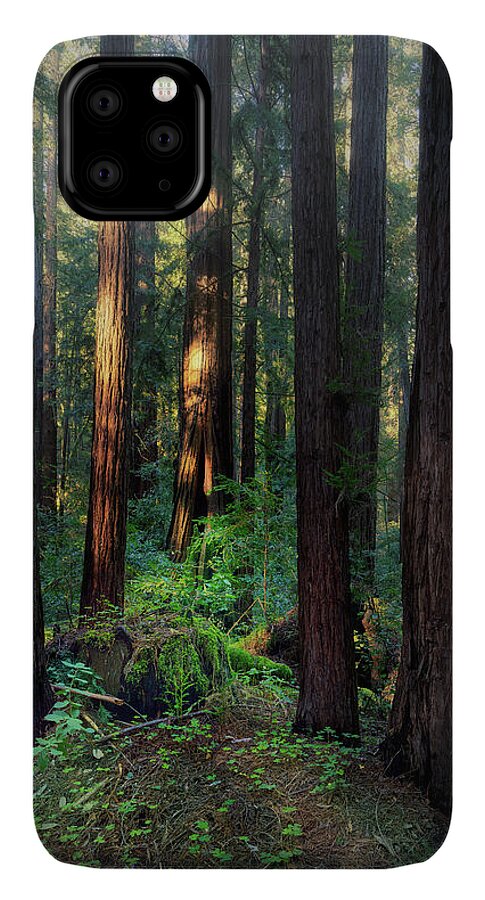 Truncus - Phone Case