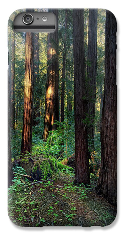 Truncus - Phone Case