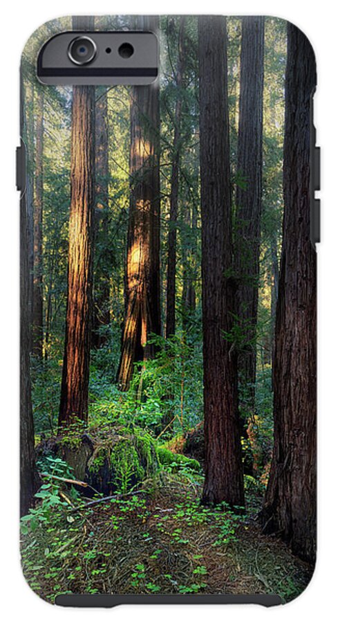 Truncus - Phone Case