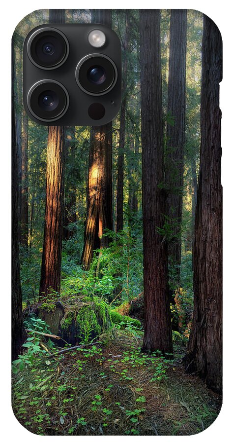 Truncus - Phone Case