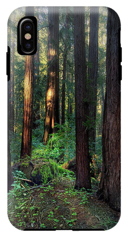 Truncus - Phone Case