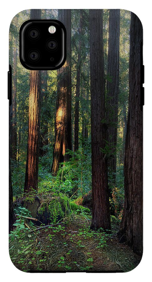 Truncus - Phone Case