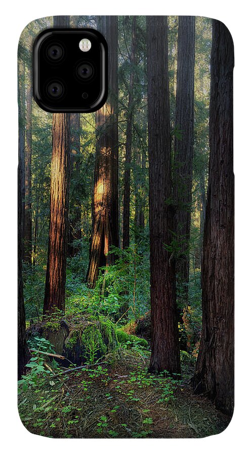 Truncus - Phone Case