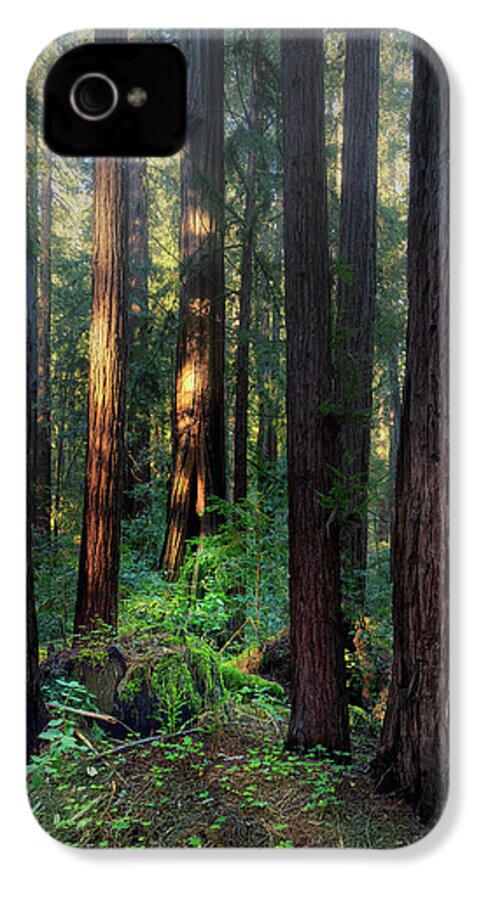 Truncus - Phone Case