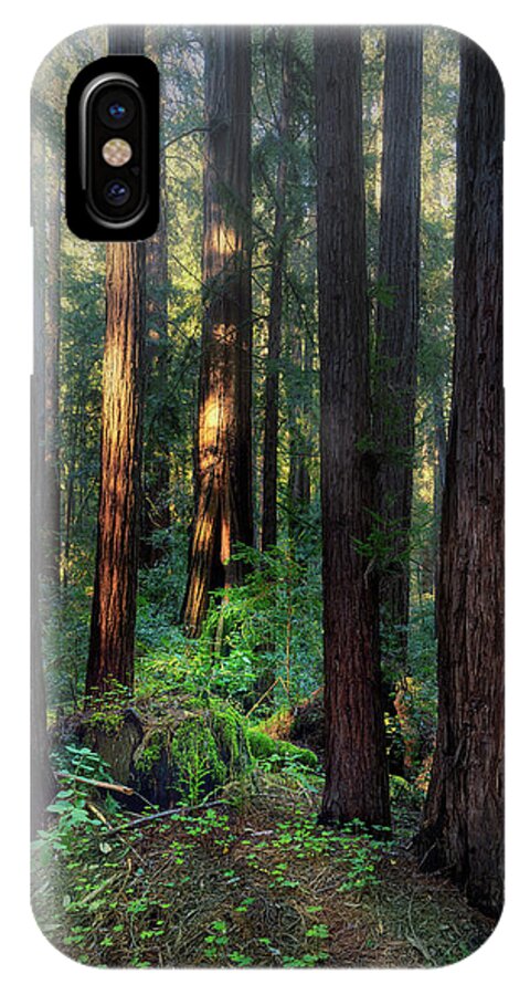 Truncus - Phone Case