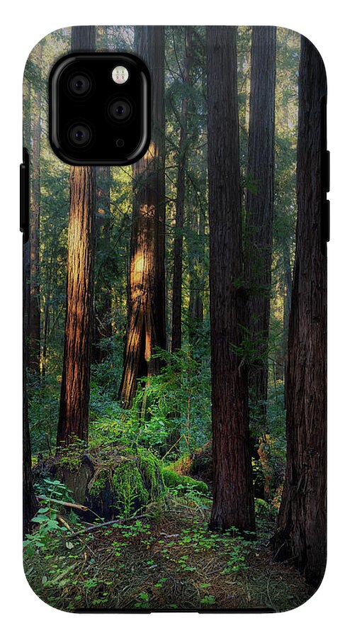 Truncus - Phone Case