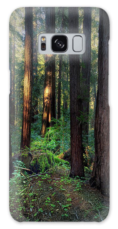 Truncus - Phone Case