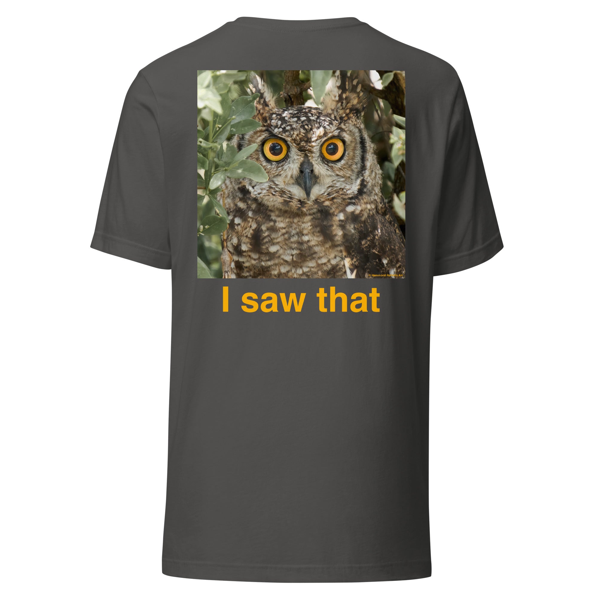 African Owl & Dad-ism Unisex T-shirt