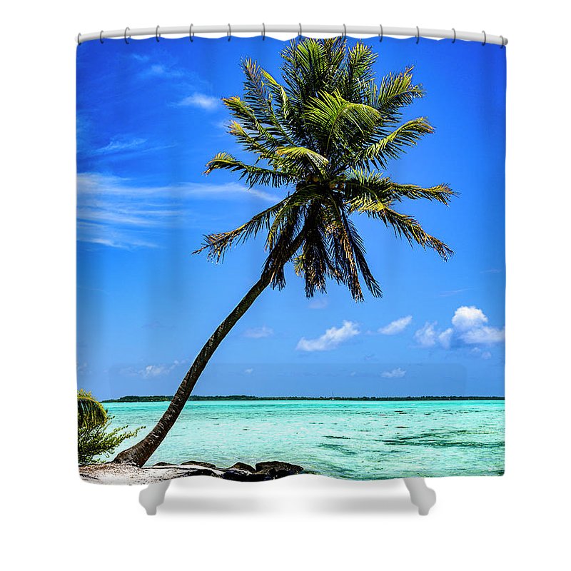 Ikon - Shower Curtain