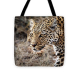 Pardos I - Tote Bag