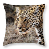 Pardos I - Throw Pillow