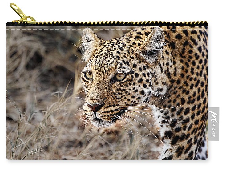 Pardos I - Zip Pouch