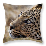 Pardos II - Throw Pillow