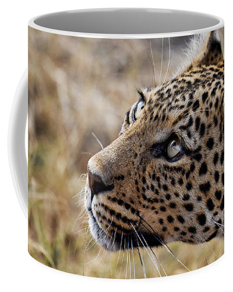 Pardos II - Mug
