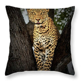 Pardos III - Throw Pillow