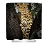 Pardos III - Shower Curtain