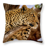 Pardos IV - Throw Pillow